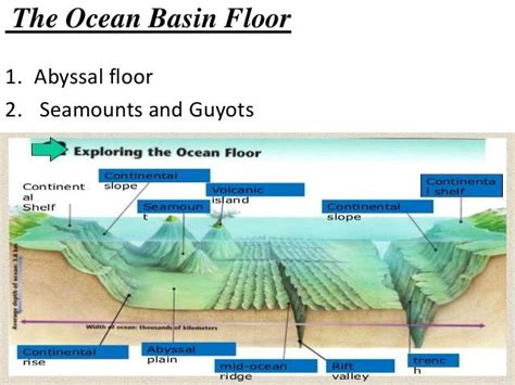 Ocean Floor Diagram Seamount Review Home Co