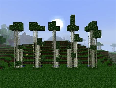 Bamboo is a plant found in jungles, and can be used as fuel for smelting or cooking, or to breed pandas, and craft scaffolding, or sticks. Bamboo forest biome Minecraft Project