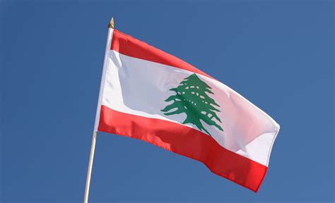 Hand Waving Flag Lebanon 12x18 Royal Flags