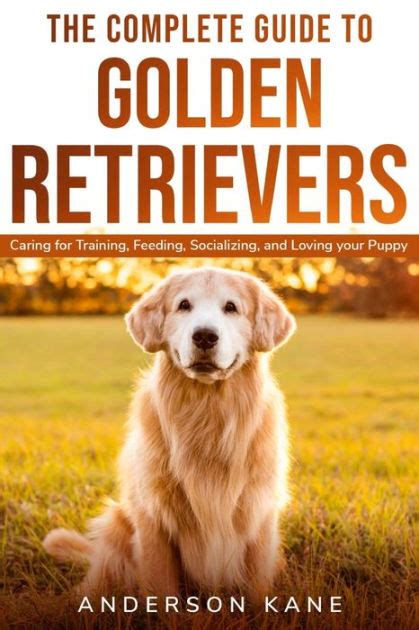 The Complete Guide To Golden Retrievers Caring For Training Feeding