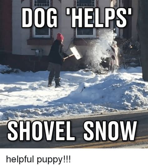 Shoveling Snow Memes