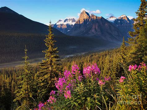 Beautiful Landscape With Rocky Mountains At Sunset In Canada Photograph