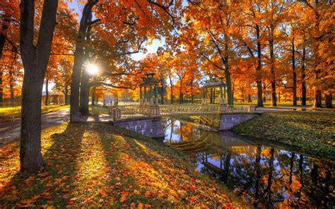 壁纸 公园，树木，红叶，秋天，桥梁，太阳光线，河 1920x1200 Hd 高清壁纸 图片 照片