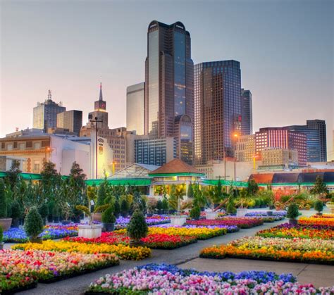 All Things Bright And Beautiful Dallas Skyline