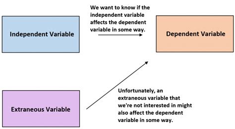 Extraneous Variable Definition And Examples Statology