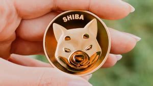 Mengenal Koin Anjing Shiba Inu Seide