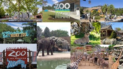 Top 10 Zoos In The United States That Are Great To Visit
