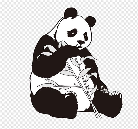 Sketsa Gambar Hewan Panda Bonus