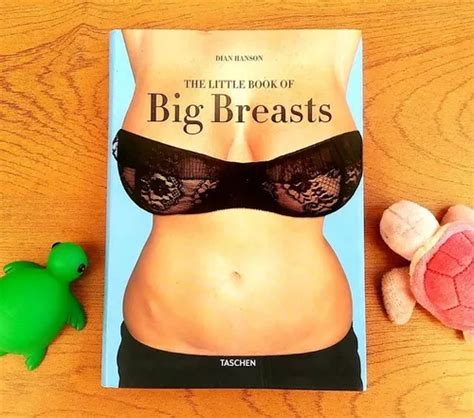 the little book of big breasts dian hanson taschen cuotas sin interés