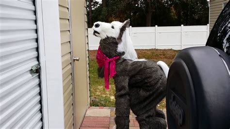 My wave is a song by the american rock band soundgarden. #1 My Horse Quad Suit! - YouTube