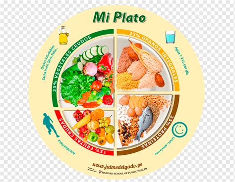 Pubertad Capital Destruir Dibujo Del Plato Del Buen Comer Capilares El Cielo Adaptar