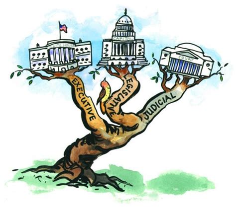 The Three Branches Of Federal Government Tj Homeschooling