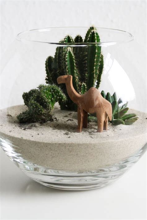 Diy Miniatur Wüste Terrarium Planten Binnenshuis Tuinieren
