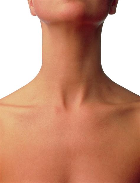 Front View Of The Neck And Upper Chest Of A Woman Photograph By Phil Jude Science Photo Library