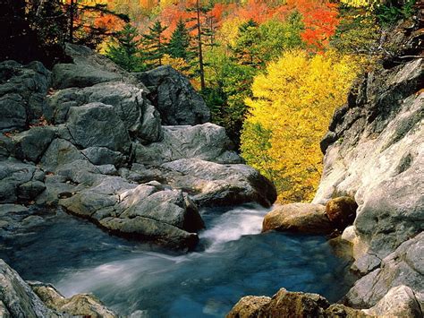 Autumn Trees Stones River Autumn For Hd Wallpaper Wallpaperbetter