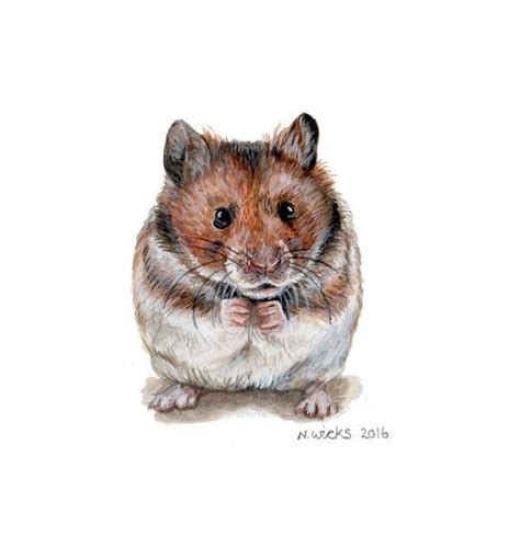 Original Hamster Painting Etsy Hamster Painting Animals