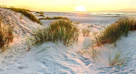 Sands, moments of time or of one's life: Recipe for a dune: Sand, wind, water, plants | College of ...