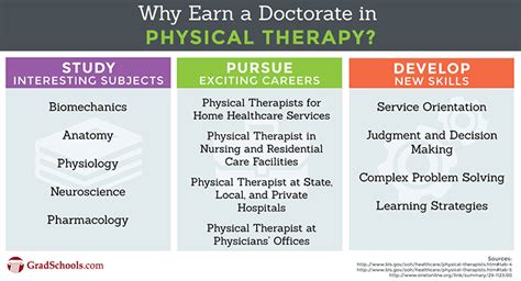 Top Physical Therapy Doctorate Online Degrees And Phd Programs 2023