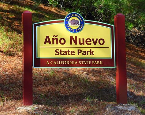 Ano Nuevo State Park Ca Flickr