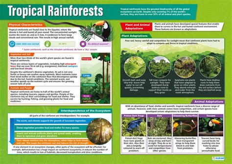 Tropical Rainforests Geography Posters Gloss Paper Measuring 850mm X 594mm A1 Geography