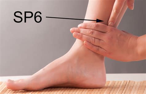 Acupuncture Alleviates Chemoradiotherapy Induced Leukopenia