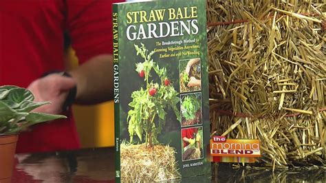 How to grow vegetables and herbs without any digging. "Straw Bale Gardening " - YouTube