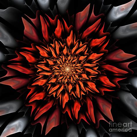 Red Fractal Flower Digital Art