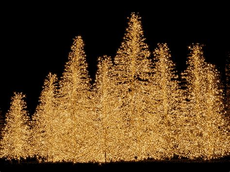 30 Amazing Christmas Tree S To Share Best Animations Spinning Christmas Tree Snow Covered