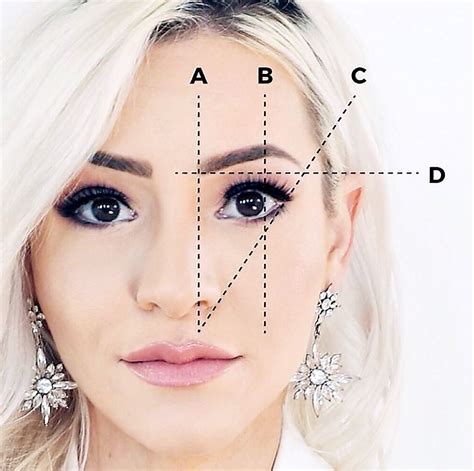 Eyebrow Mapping This Is Important Yall Your Eyebrows Are The Frame