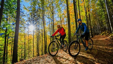 Cycling Forest Images Stock Photos D Objects Vectors Shutterstock