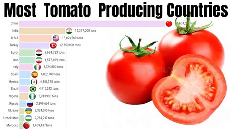 Most Tomato Producing Countries In The World 1961 To 2019 Largest