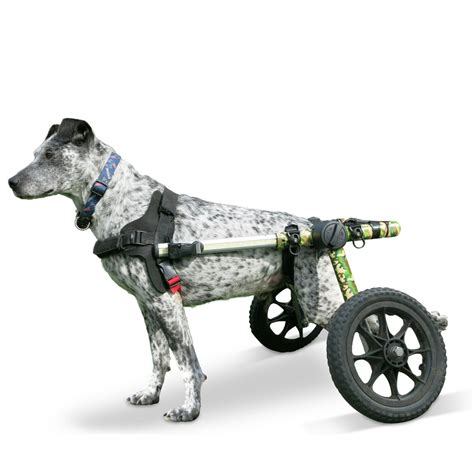 Walkin Wheels Dog Wheelchair For Medlarge Dogs 50 69 Pounds