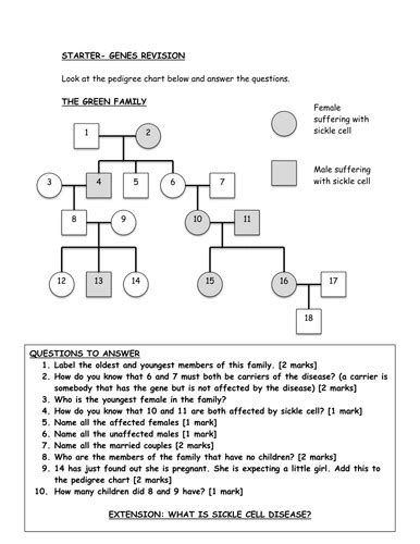 Use complete sentences and facts from the lab to support your answers. Genetics Pedigree Worksheet | Homeschooldressage.com