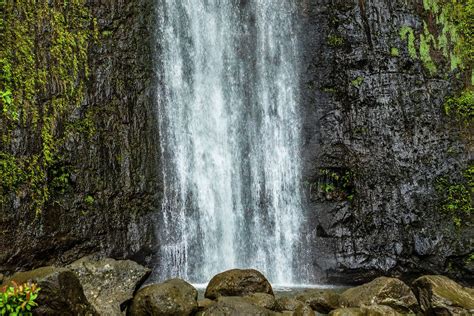 What You Didnt Know About Hawaiis Manoa Falls Trail