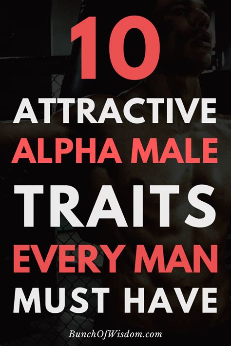 10 Attractive Alpha Male Traits Every High Value Man Has Alpha Male