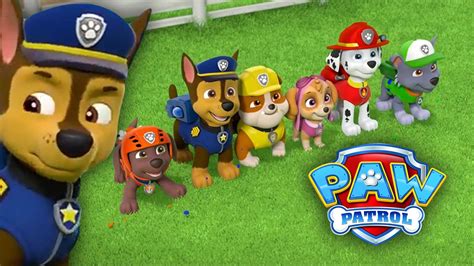 Paw Patrol Denies Being Canceled After White House Press Secretary