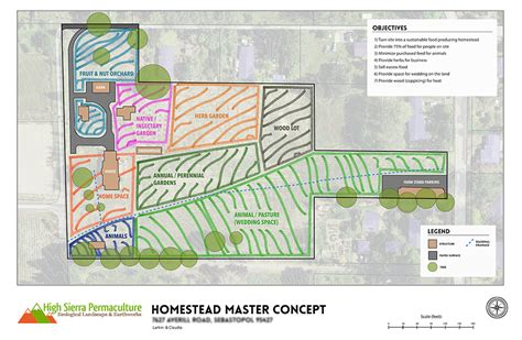Homestead Layout And Surface Water Plan Permaresilience