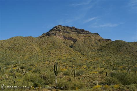 Top Phoenix Area Desert Parks For Nature And Landscape Photography