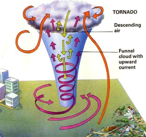 Labeled Diagram Of A Tornado