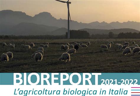 Bioreport 2021 2022 Agricoltura Biologica In Italia Bioreport 2021