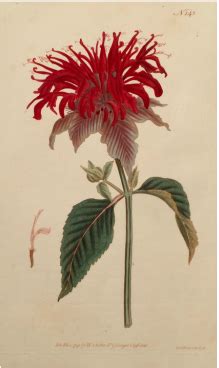 Check out 1,490 verified apartments for rent in minnetonka, mn with rents starting as low as $800. Nash Frame Design in Minneapolis, Minnetonka, St Louis ...