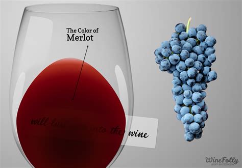Guide To Merlot Wine Taste Regions And Food Pairing