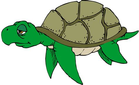 Snapping Turtle Cartoon Clipart Best