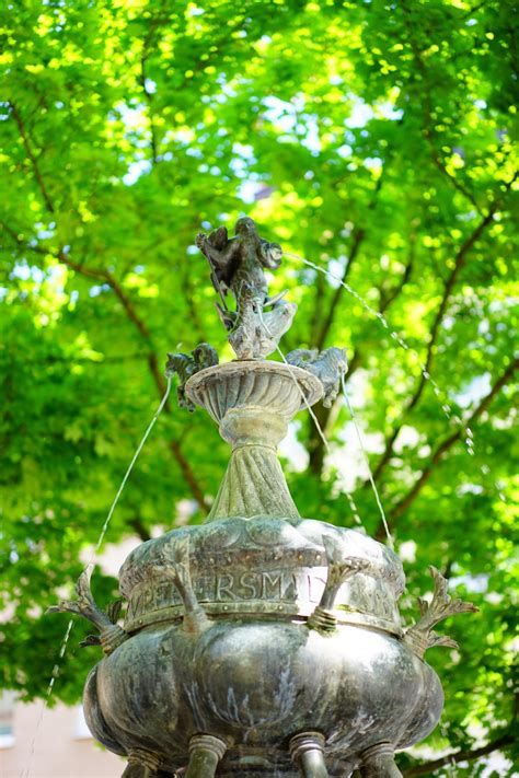 무료 이미지 나무 잎 꽃 기념물 야생 생물 동상 녹색 밀림 식물학 정원 조각 청동 주철 인물 물