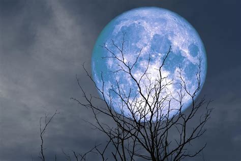 How And When To See The Rare Super Blue Moon As It Rises This Evening My Xxx Hot Girl