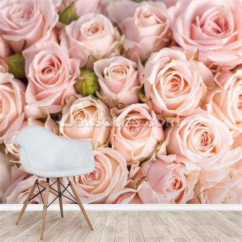 Bright Pink Roses Wallpaper Wallsauce Eu