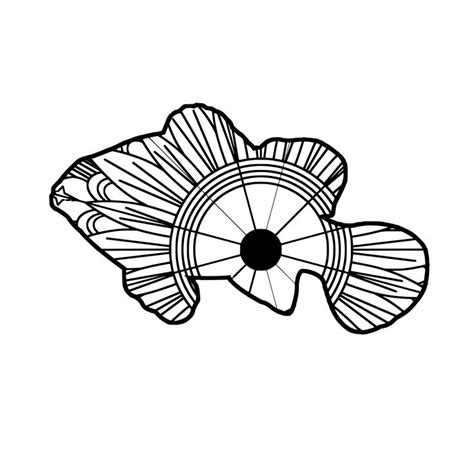 Free Free 347 Fishing Mandala Svg SVG PNG EPS DXF File