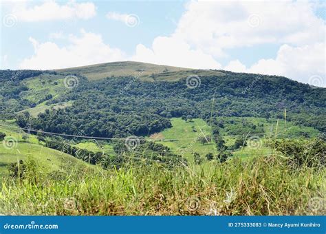 The Vast Mountain Forest On The Outskirts Of The City Of Andrel Ndia
