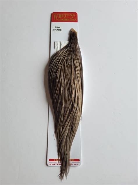 Whiting Pro Grade 12 Cape White Dyed Dark Dun Premier Angling