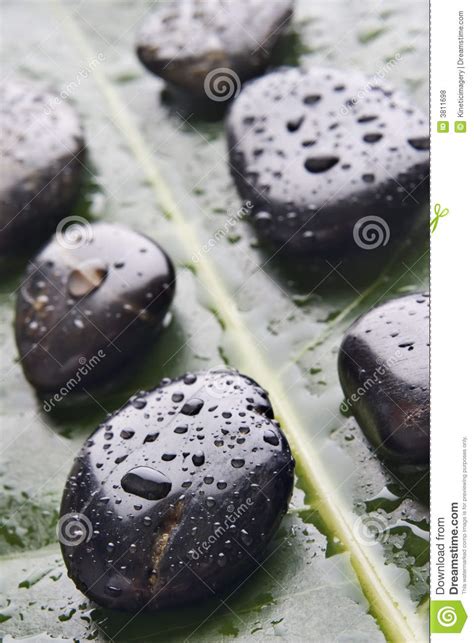 Wet River Rocks On A Green Leaf Stock Photo Image Of Pebble Natural
